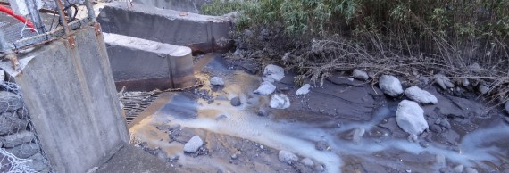 Le lit du Bras de la Plaine dérivé en rive droite